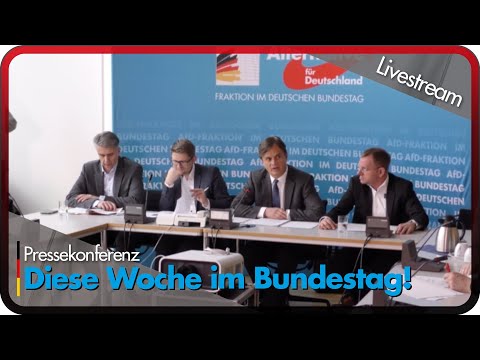 Anträge zu Flüchtlingsbürgen, Elektroautos, Frauenquote im Wahlrecht uvm. - AfD-Fraktion