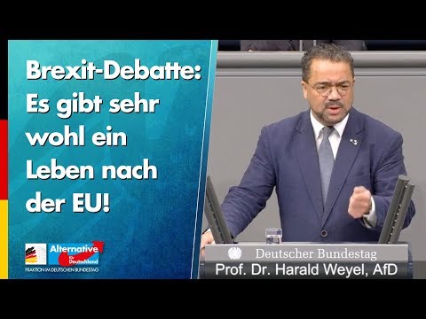 Brexit-Debatte: Es gibt sehr wohl ein Leben nach der EU! - Dr. Harald Weyel - AfD-Fraktion