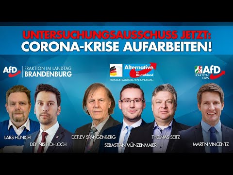 Pressekonferenz zur Einsetzung eines Corona-Untersuchungsausschusses - AfD-Fraktion im Bundestag
