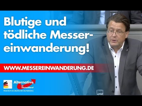 &quot;Messerstechereinwanderung!&quot; - Stephan Brandner zum Antrag der AfD-Fraktion