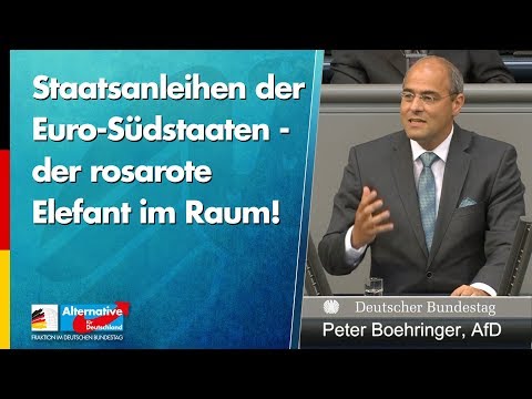 &quot;Staatsanleihen der Euro-Südstaaten - der rosarote Elefant im Raum!&quot; - Peter Boehringer