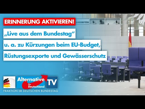 102. Sitzung des Bundestags - AfD-Fraktion im Bundestag