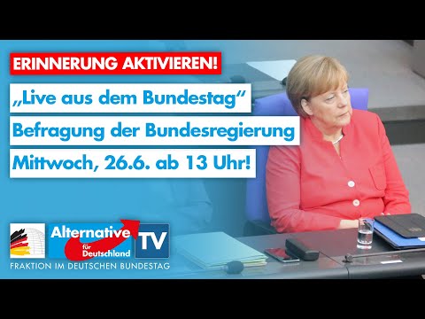 Live aus dem Bundestag - Befragung der Bundesregierung - AfD-Fraktion im Bundestag