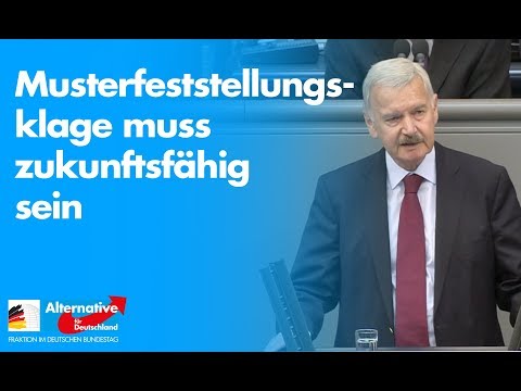 Musterfeststellungsklage muss zukunftsfähig sein - Prof. Lothar Maier - AfD-Fraktion