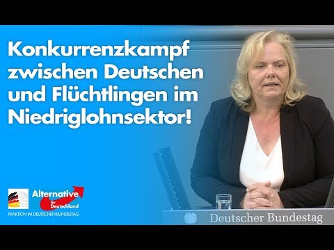 Konkurrenzkampf zwischen Deutschen und Flüchtlingen im Niedriglohnsektor! - Ulrike Schielke-Ziesing