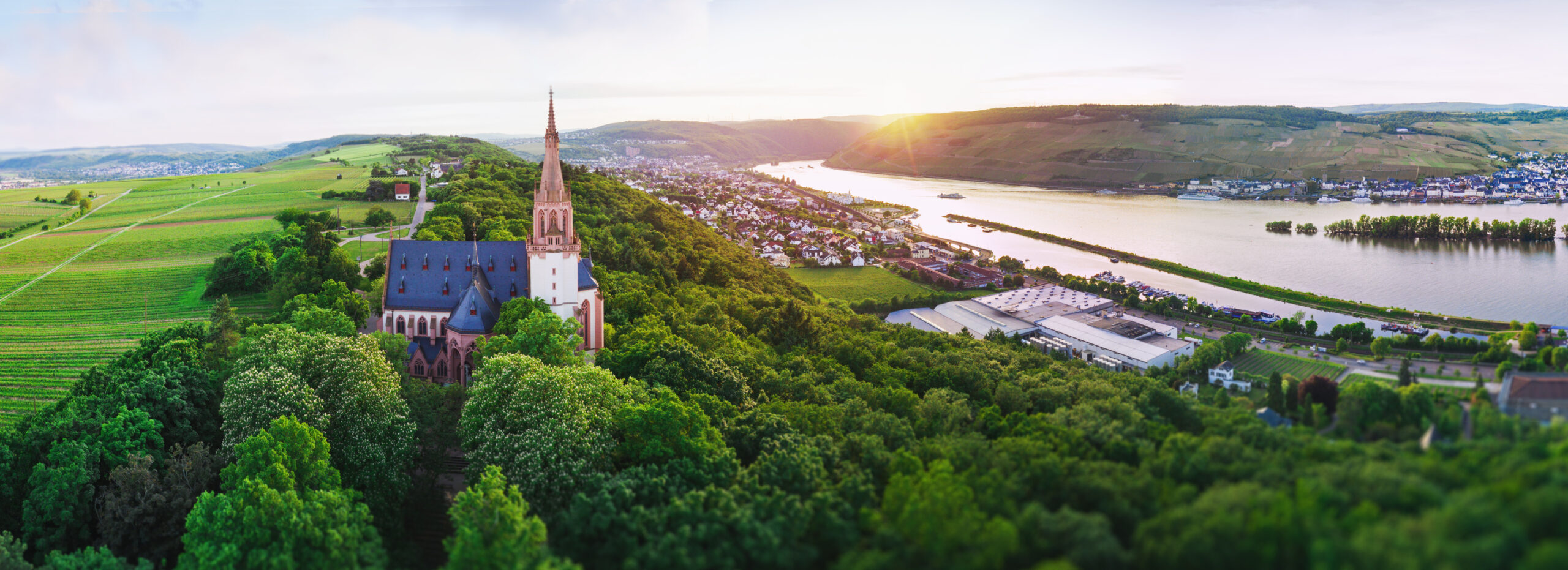 rheingau bingen