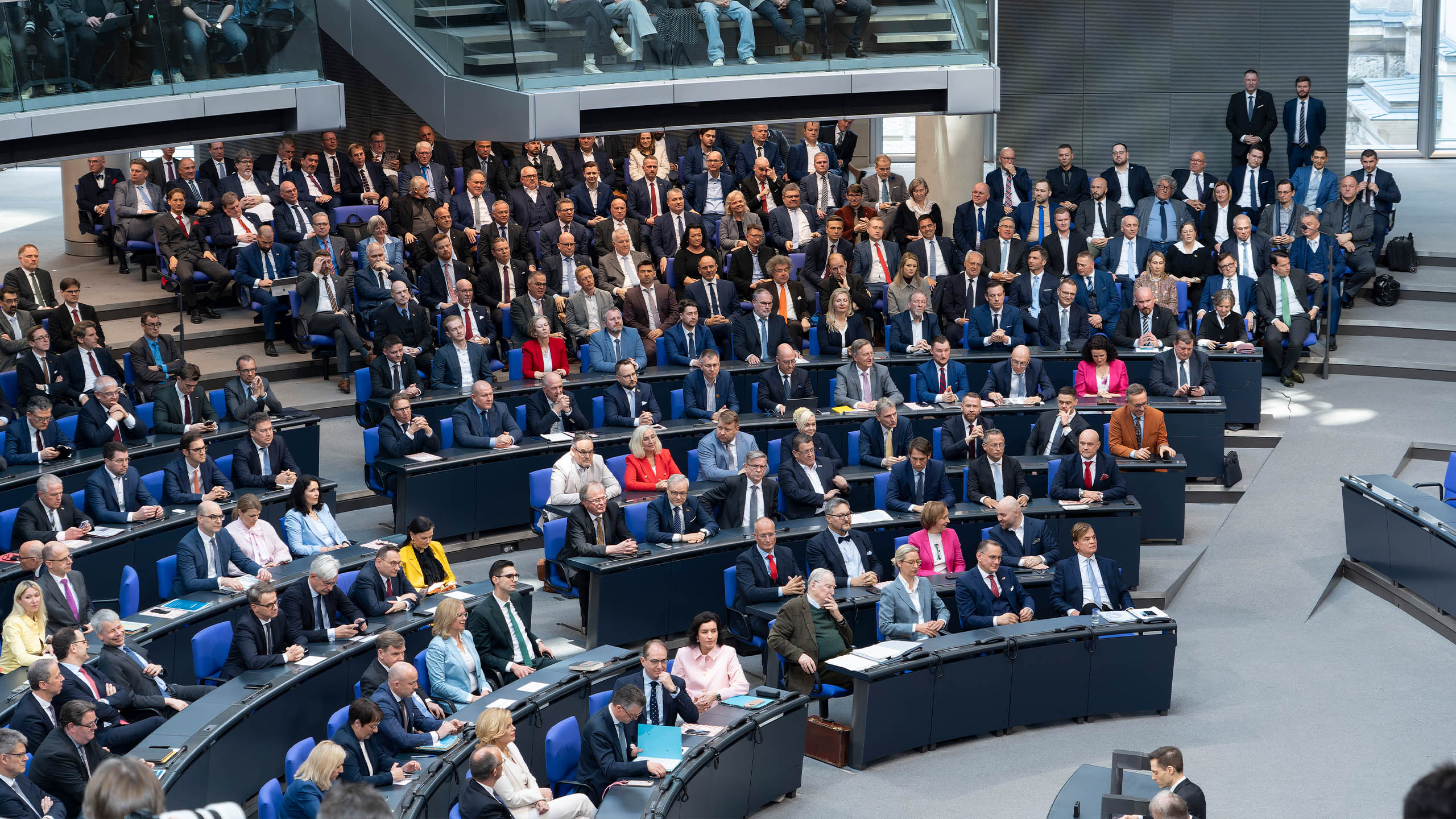Fraktion Plenum AfD 2025