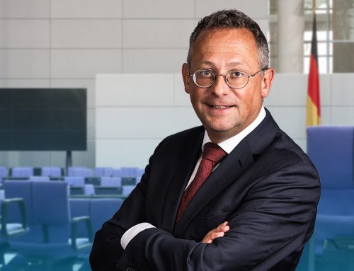 Wolf-Drama von Hamburg zeigt Versagen des neuen Bundesjagdgesetzes